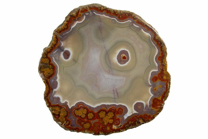 Polished Banded Agate Nodule - Kerrouchen, Morocco #326536
